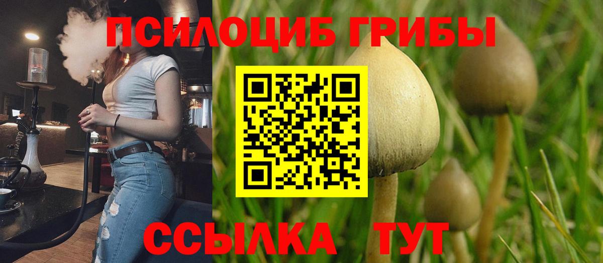 Галлюциногенные грибы Psilocybine cubensis  Псилоцибиновые грибы Magic Shrooms  Красногорск  Вход с VPN 